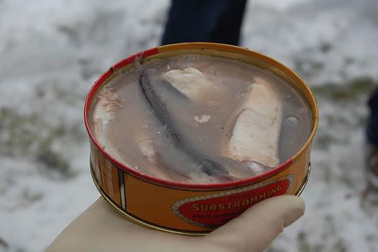 Surströmming2